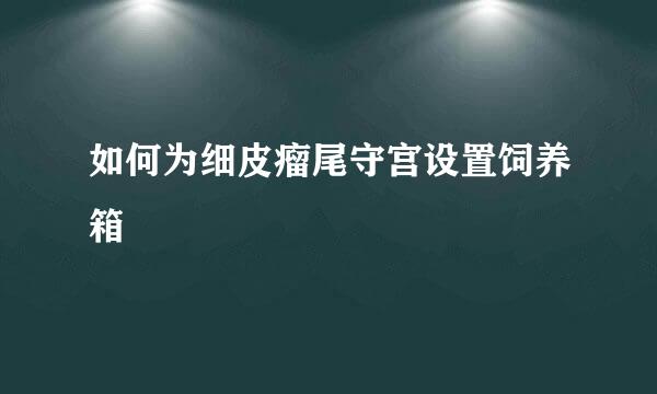 如何为细皮瘤尾守宫设置饲养箱