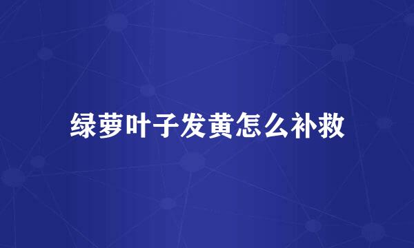 绿萝叶子发黄怎么补救