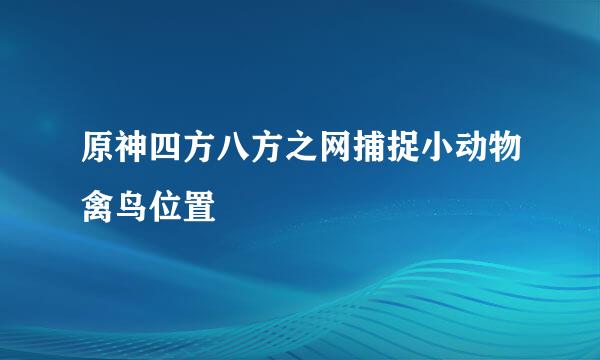 原神四方八方之网捕捉小动物禽鸟位置