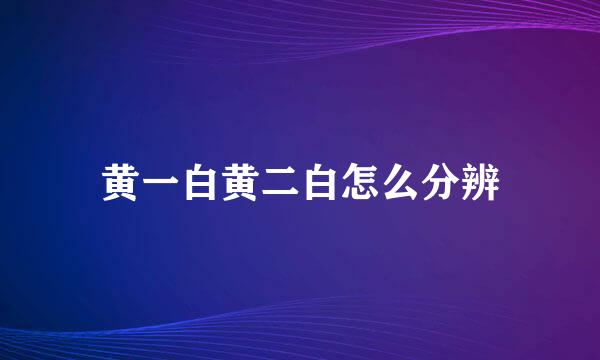 黄一白黄二白怎么分辨