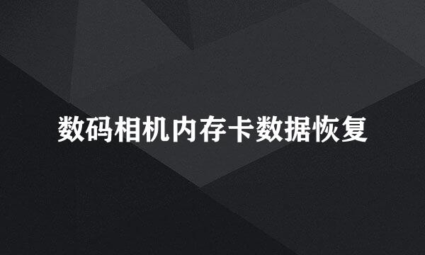 数码相机内存卡数据恢复