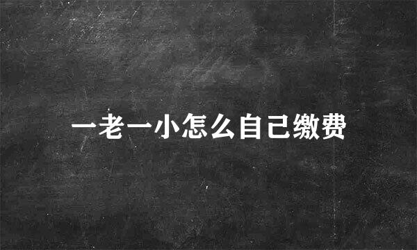 一老一小怎么自己缴费
