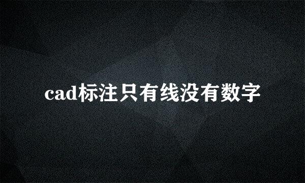 cad标注只有线没有数字