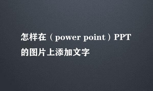 怎样在（power point）PPT的图片上添加文字
