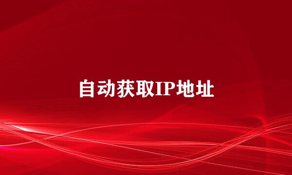 自动获取IP地址