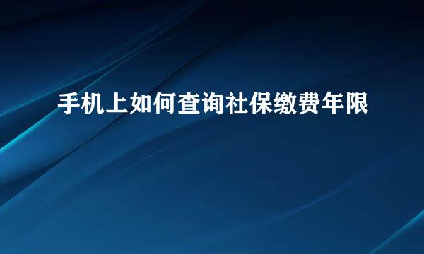 手机上如何查询社保缴费年限