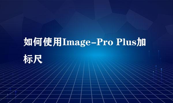 如何使用Image-Pro Plus加标尺
