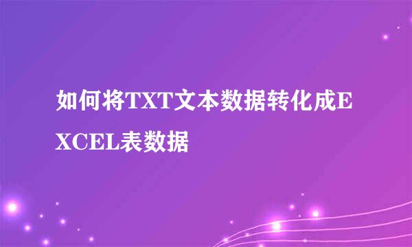 如何将TXT文本数据转化成EXCEL表数据