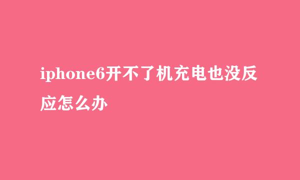 iphone6开不了机充电也没反应怎么办