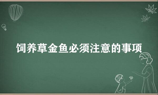 饲养草金鱼必须注意的事项