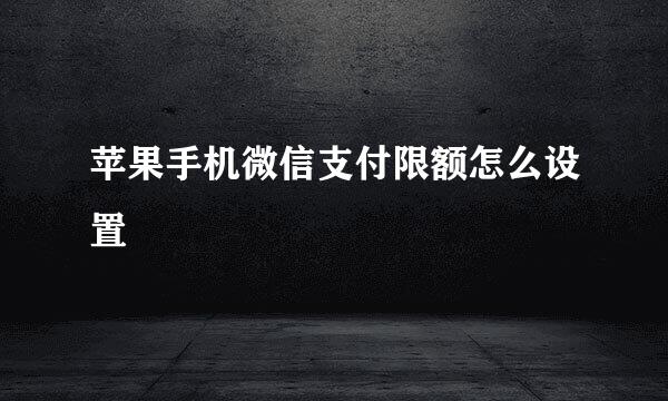 苹果手机微信支付限额怎么设置