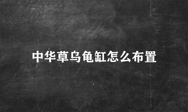 中华草乌龟缸怎么布置