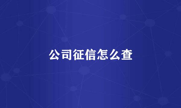 公司征信怎么查