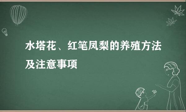 水塔花、红笔凤梨的养殖方法及注意事项