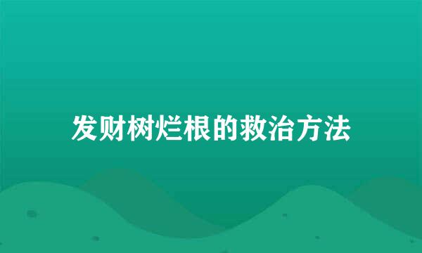 发财树烂根的救治方法