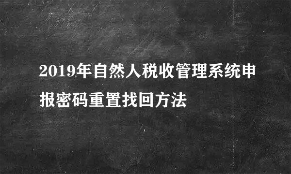2019年自然人税收管理系统申报密码重置找回方法