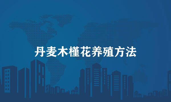 丹麦木槿花养殖方法