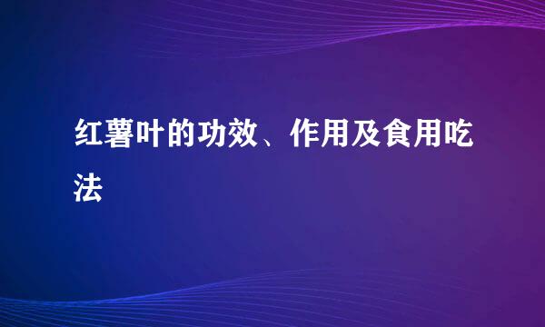红薯叶的功效、作用及食用吃法