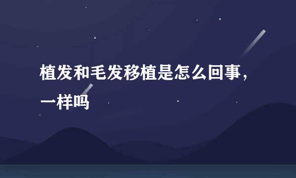 植发和毛发移植是怎么回事，一样吗