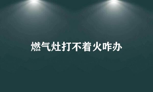 燃气灶打不着火咋办