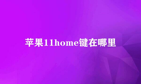 苹果11home键在哪里