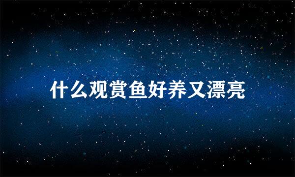 什么观赏鱼好养又漂亮
