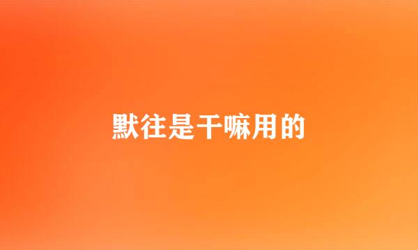 默往是干嘛用的