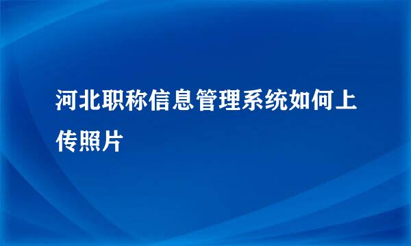 河北职称信息管理系统如何上传照片