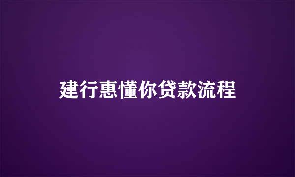 建行惠懂你贷款流程
