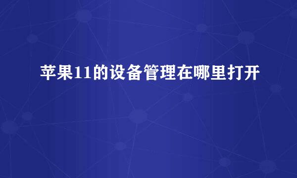 苹果11的设备管理在哪里打开