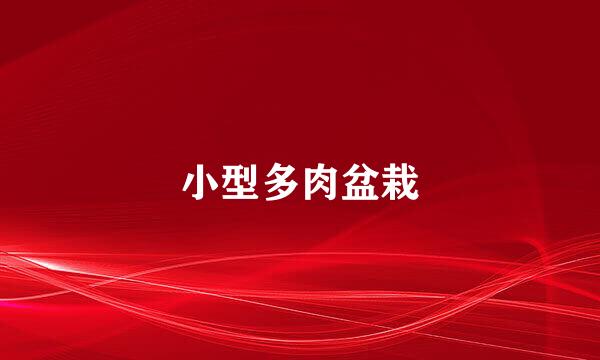 小型多肉盆栽