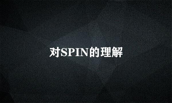 对SPIN的理解