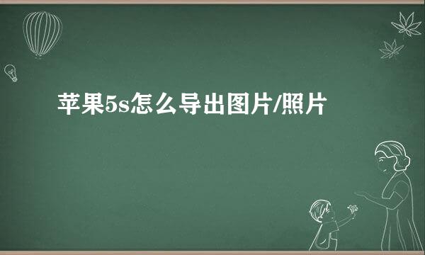 苹果5s怎么导出图片/照片