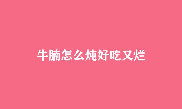 牛腩怎么炖好吃又烂
