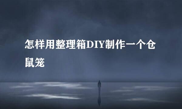 怎样用整理箱DIY制作一个仓鼠笼
