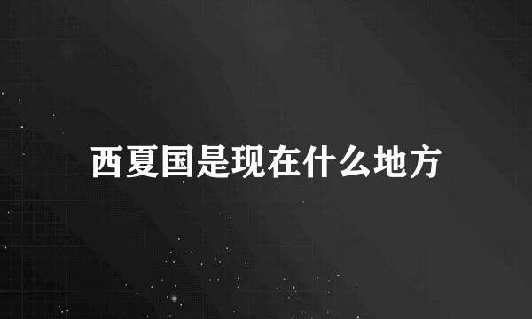 西夏国是现在什么地方