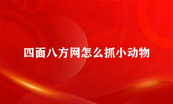 四面八方网怎么抓小动物