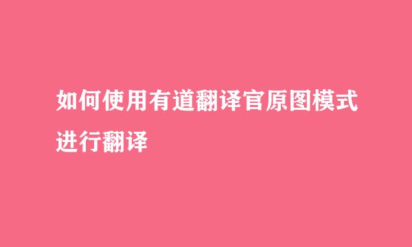 如何使用有道翻译官原图模式进行翻译