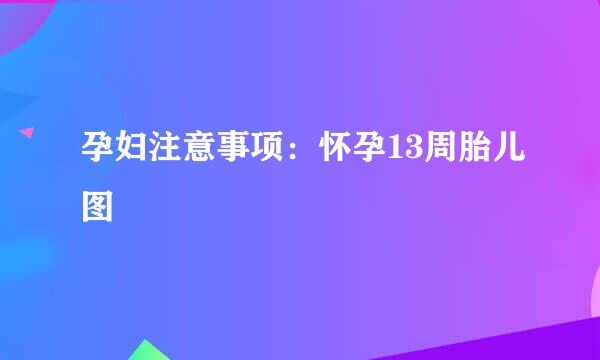 孕妇注意事项：怀孕13周胎儿图