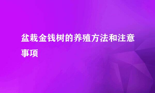 盆栽金钱树的养殖方法和注意事项