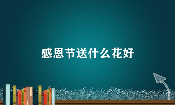 感恩节送什么花好