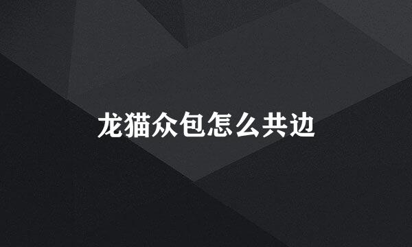 龙猫众包怎么共边