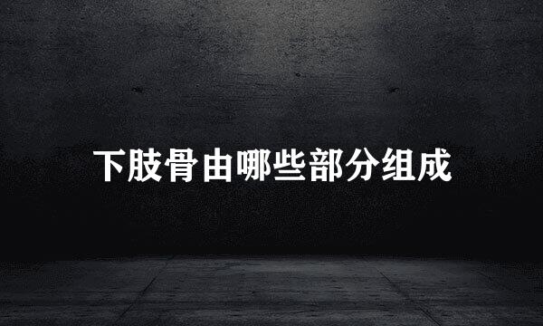 下肢骨由哪些部分组成