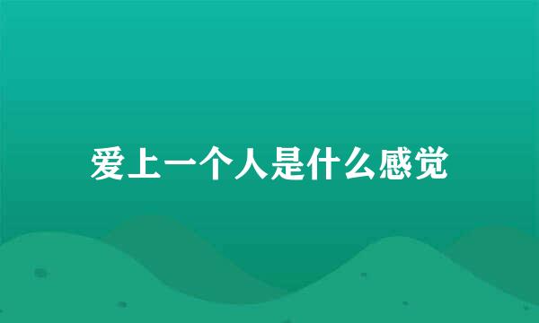 爱上一个人是什么感觉