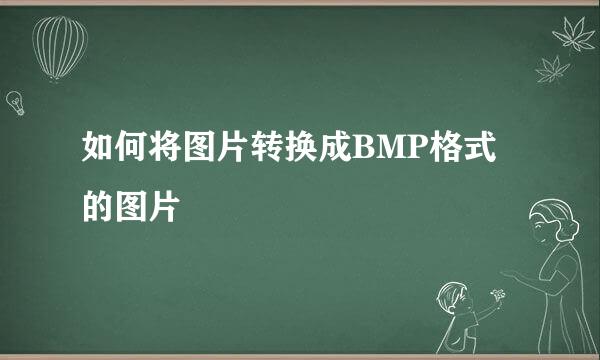 如何将图片转换成BMP格式的图片