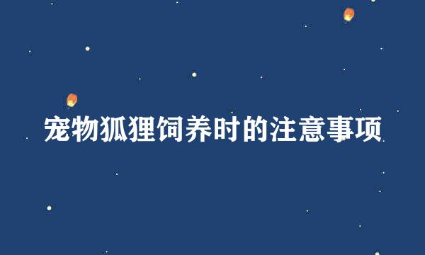 宠物狐狸饲养时的注意事项