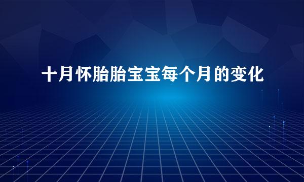 十月怀胎胎宝宝每个月的变化