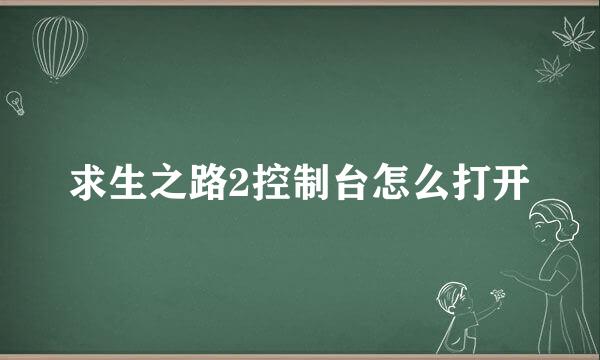 求生之路2控制台怎么打开