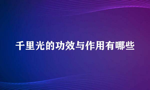 千里光的功效与作用有哪些