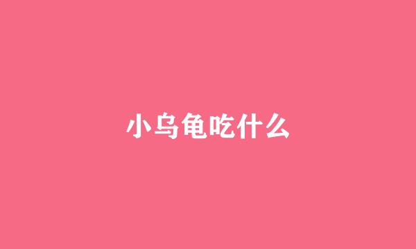 小乌龟吃什么